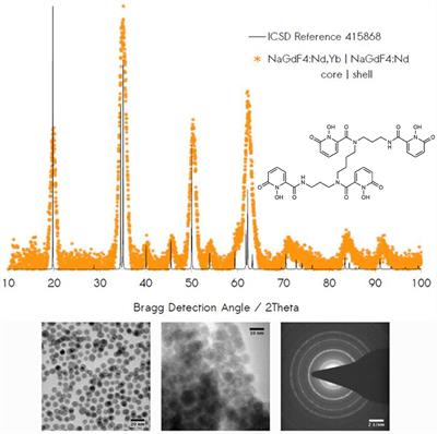 Infrared Photon Pair-Production in Ligand-Sensitized Lanthanide Nanocrystals